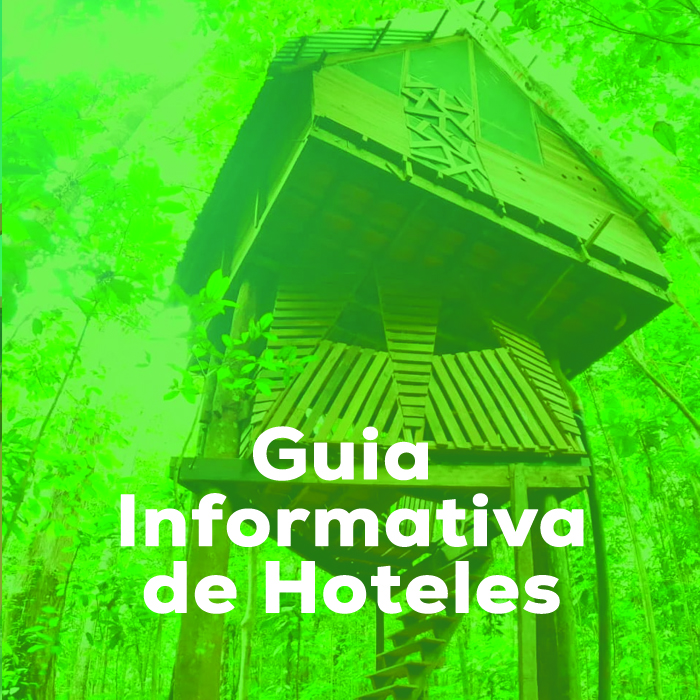 guia hoteles amazonas